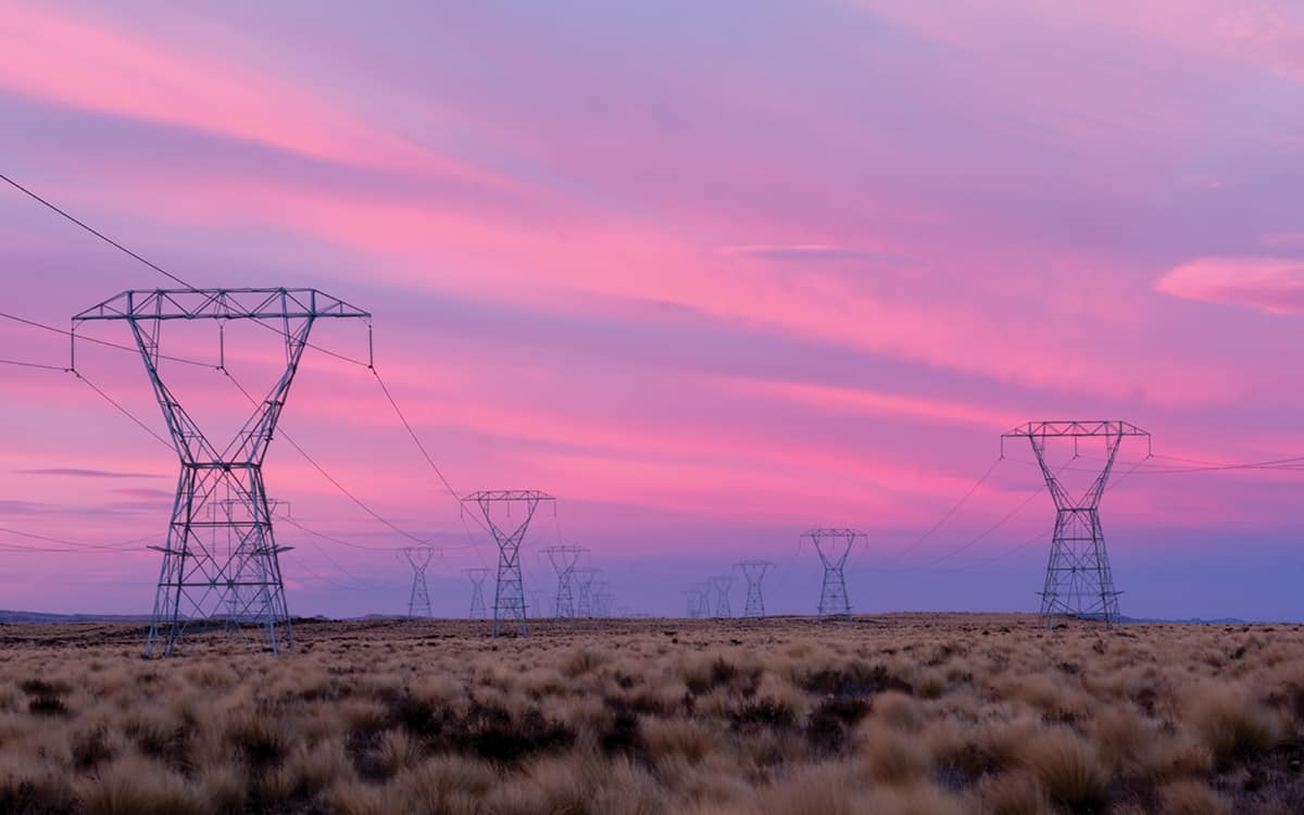 Load growth capacity options for Network Waitaki's distribution network