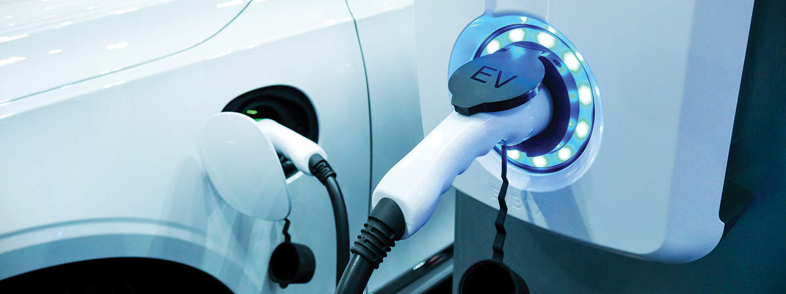 EVs in UK’s future power system: A net-zero strategy