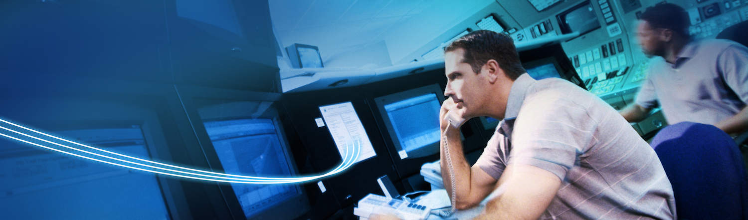 Distribution Management System Implementation Support