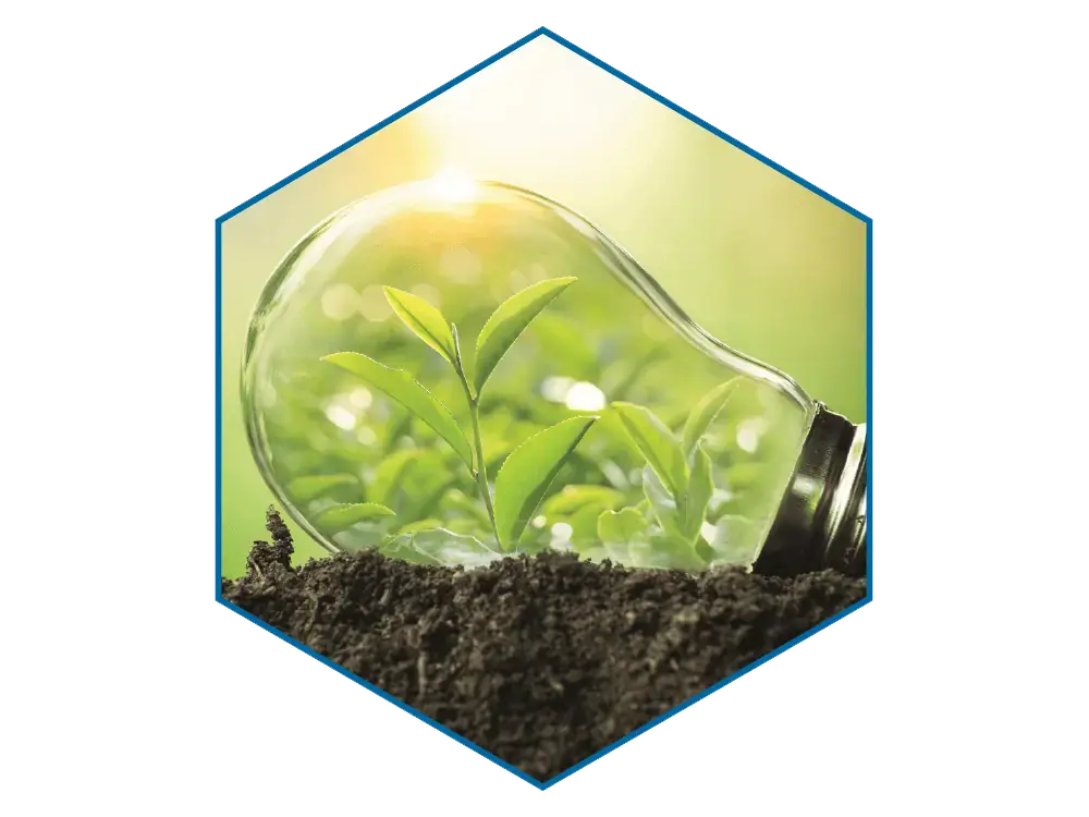 Abstract of newborn plant thriving inside a lightbulb