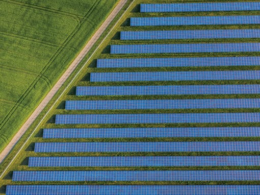 UK’s first transmission-connected solar generation