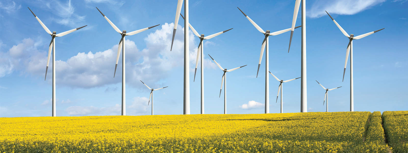 renewables