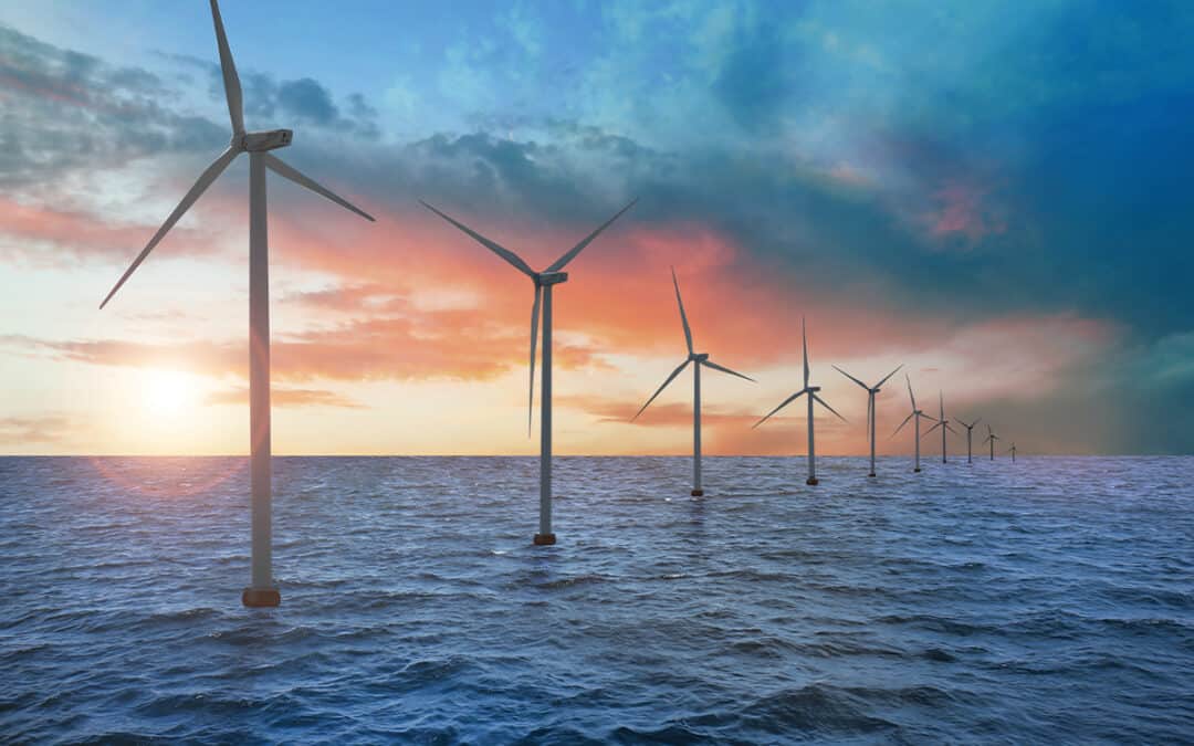 Strategic advisor supporting new offshore wind zone project in Australia