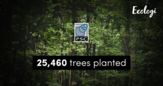 PSC trees Ecologi