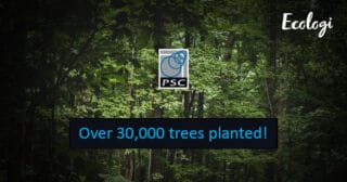 PSC ecologi trees