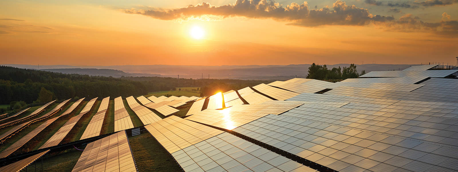 Solar farm sunset